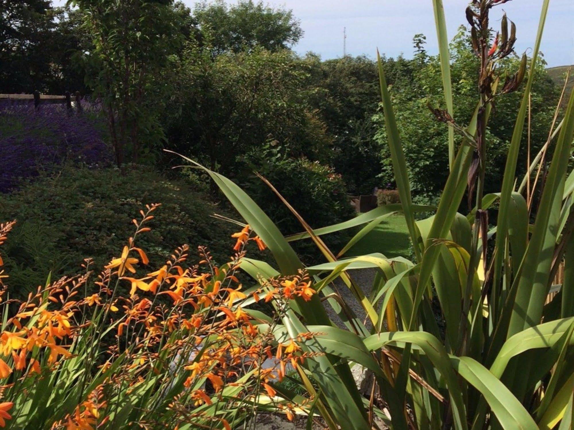 Boscastle House Bed & Breakfast Exterior foto
